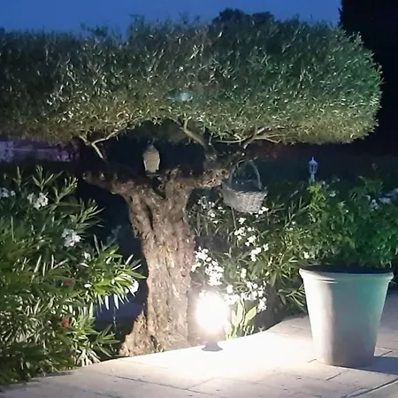 La Cabane De Mes Reves Luksustelt